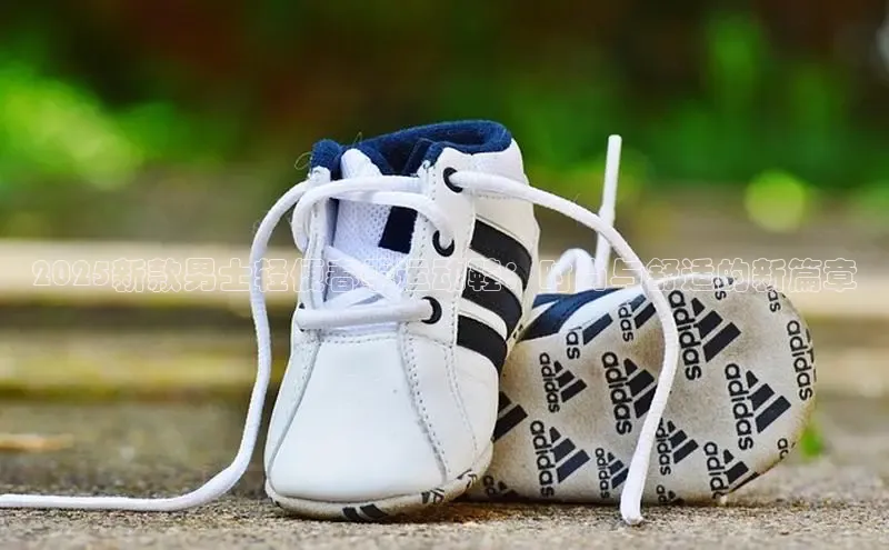 壹号大舞台官网入口下载