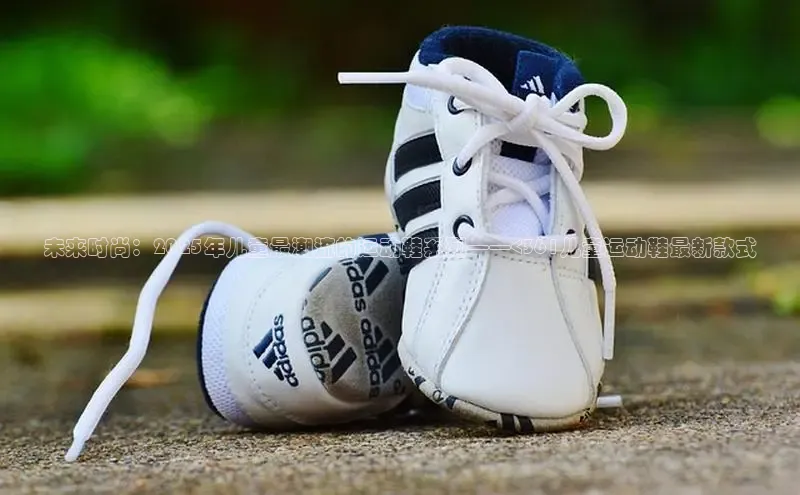 壹号大舞台官网入口下载